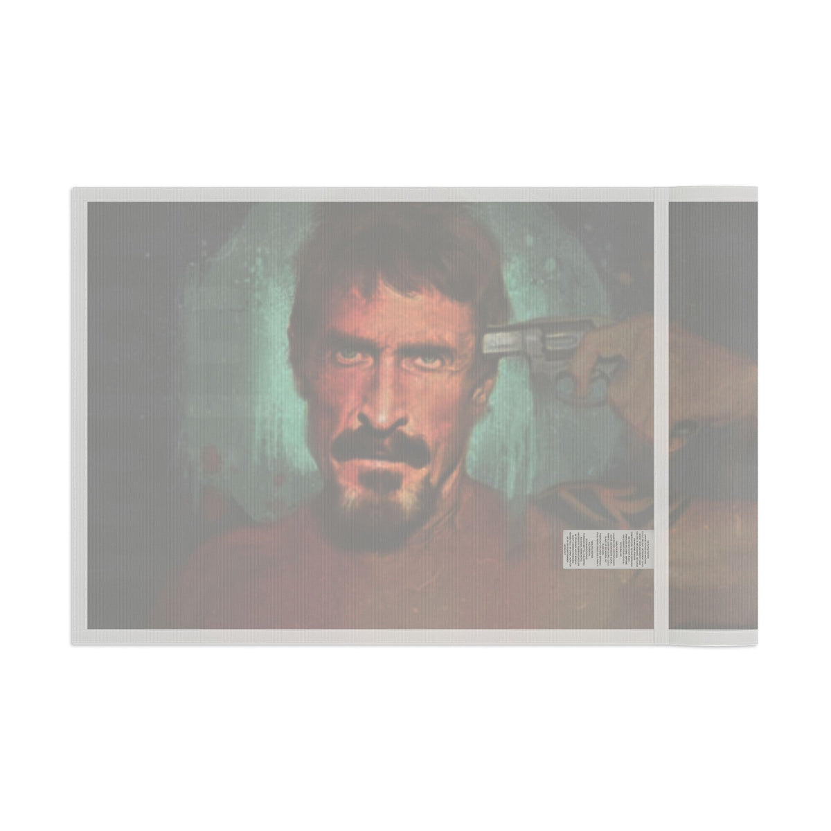 John McAfee | Didn't Kill Himself Outdoor Flag (36x60)